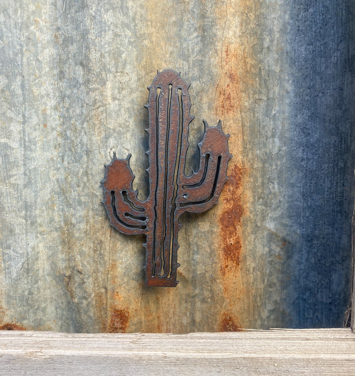 Cactus Magnet