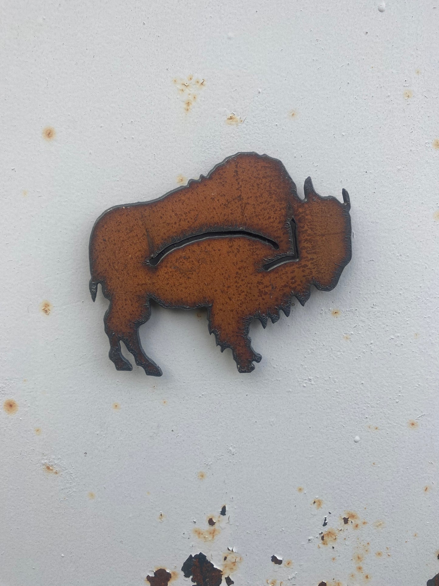 Buffalo with Arrow Magnet