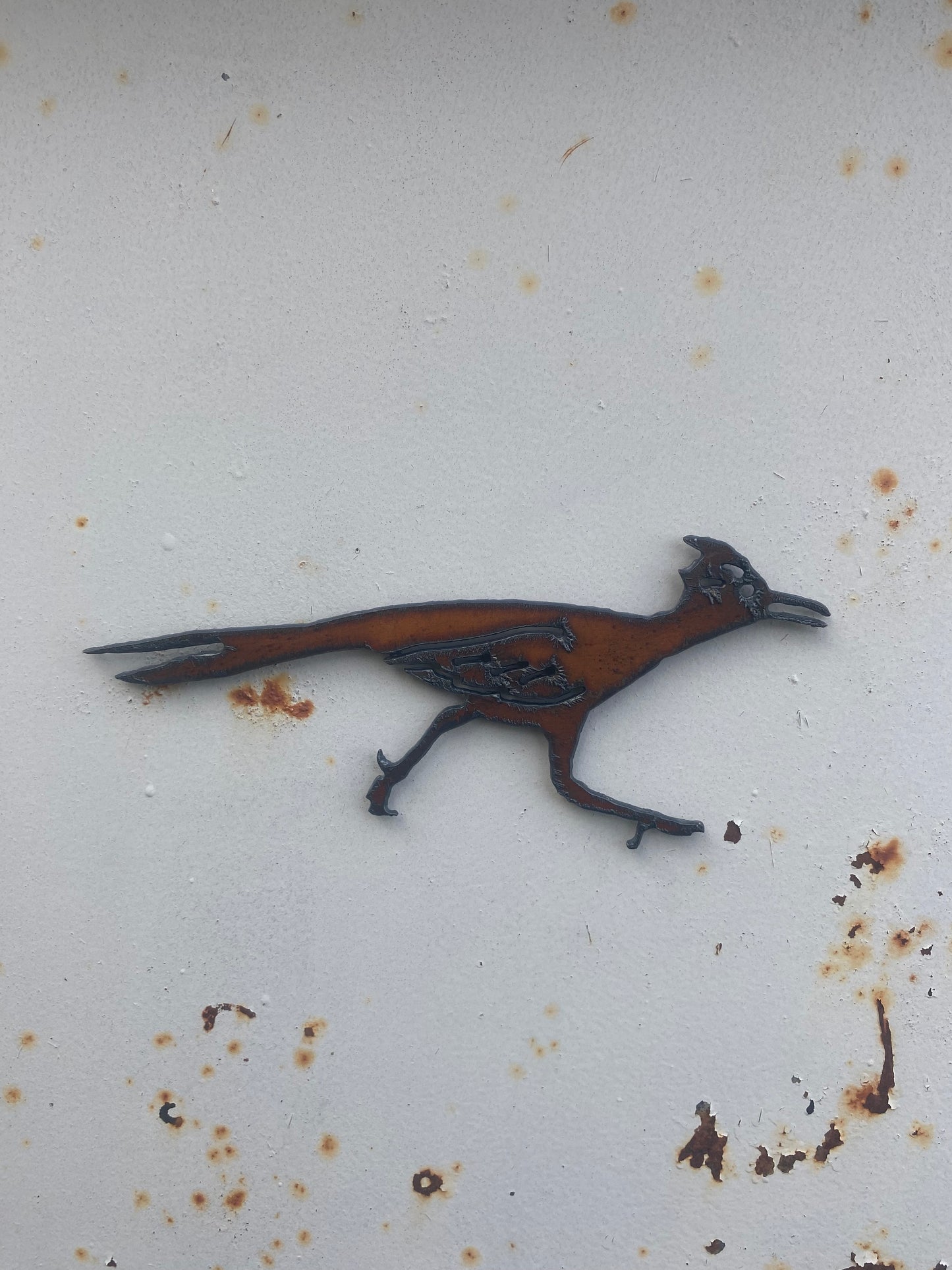 Roadrunner Magnet